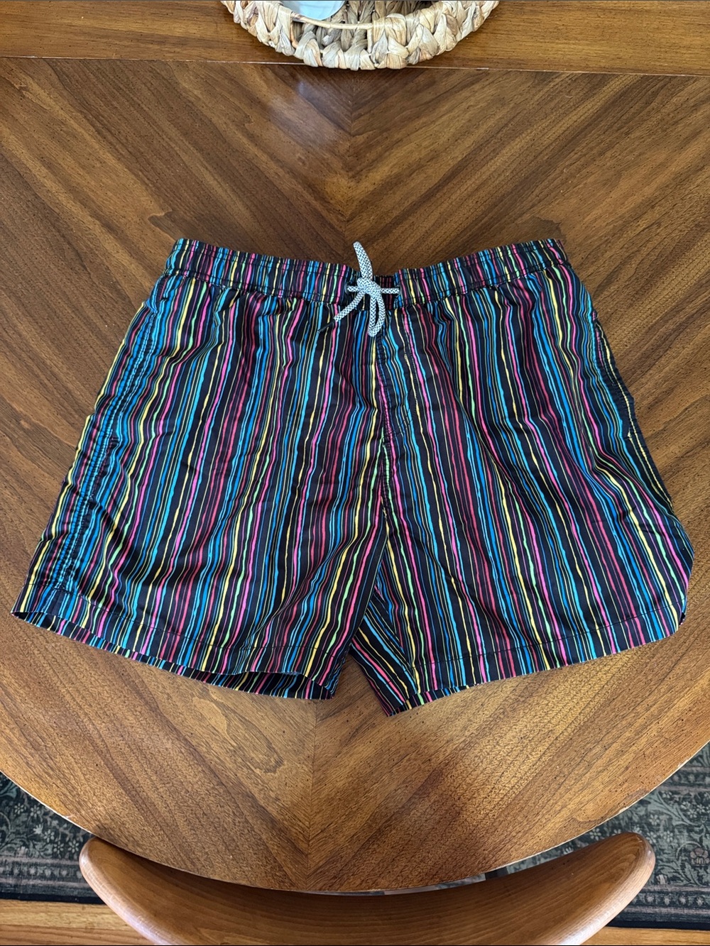 Men's Multicolor Vertical Stripe Swim Trunks